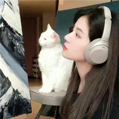 尖鼠杀手