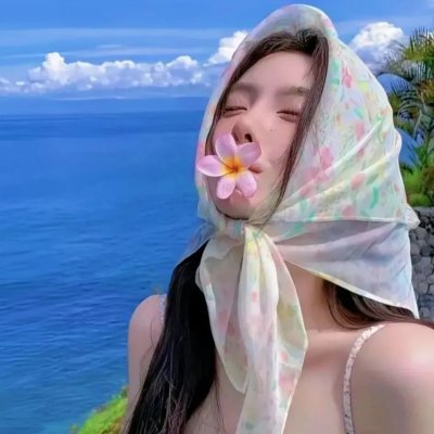 富贵吉娃娃